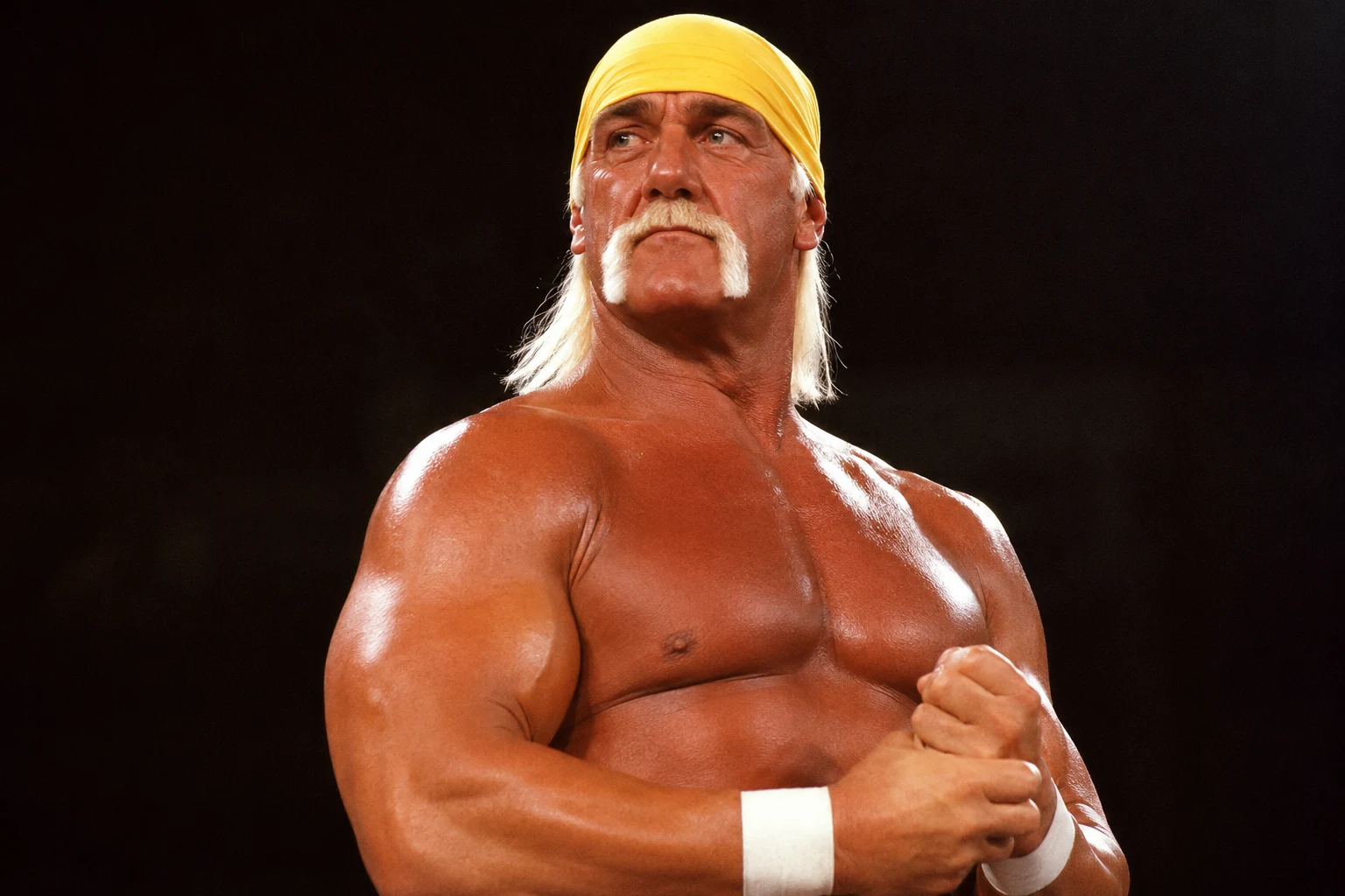 Hulk Hogan