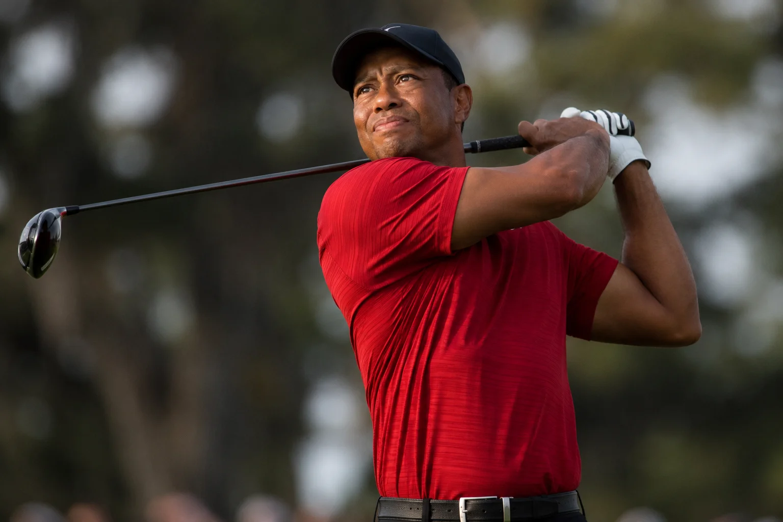 Tiger Woods